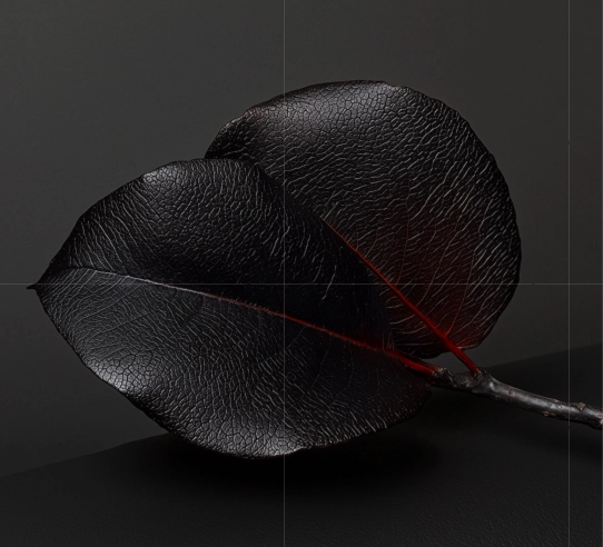 Roller-Coat Branding